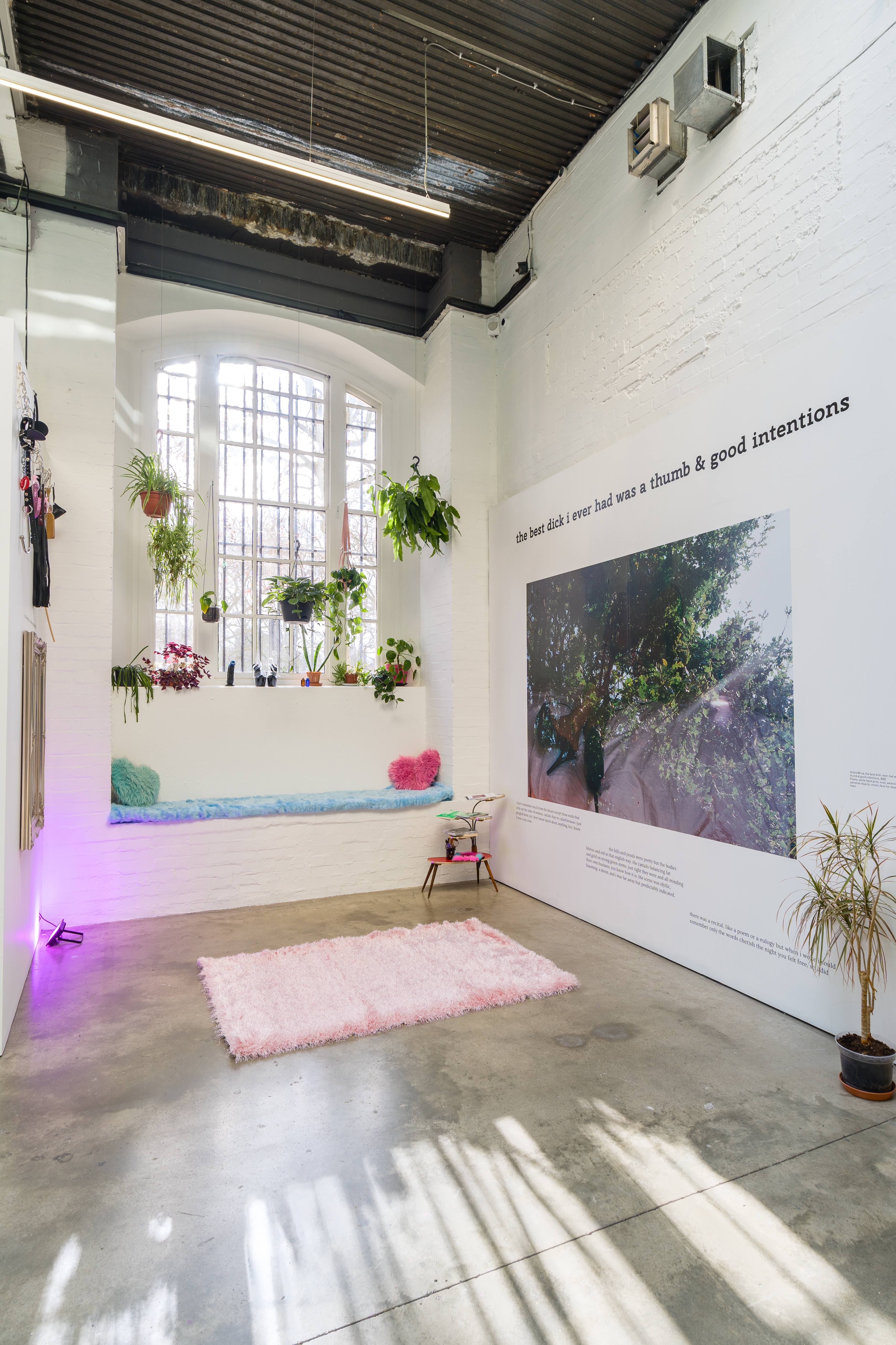 A gallery space with high ceilings and vaulted windows, surrounded with plants in hanging baskets. The wall on the right hand side features art work by Aisha Mirza, with text that reads: 'the best dick I ever had was a thumb and good intentions'.