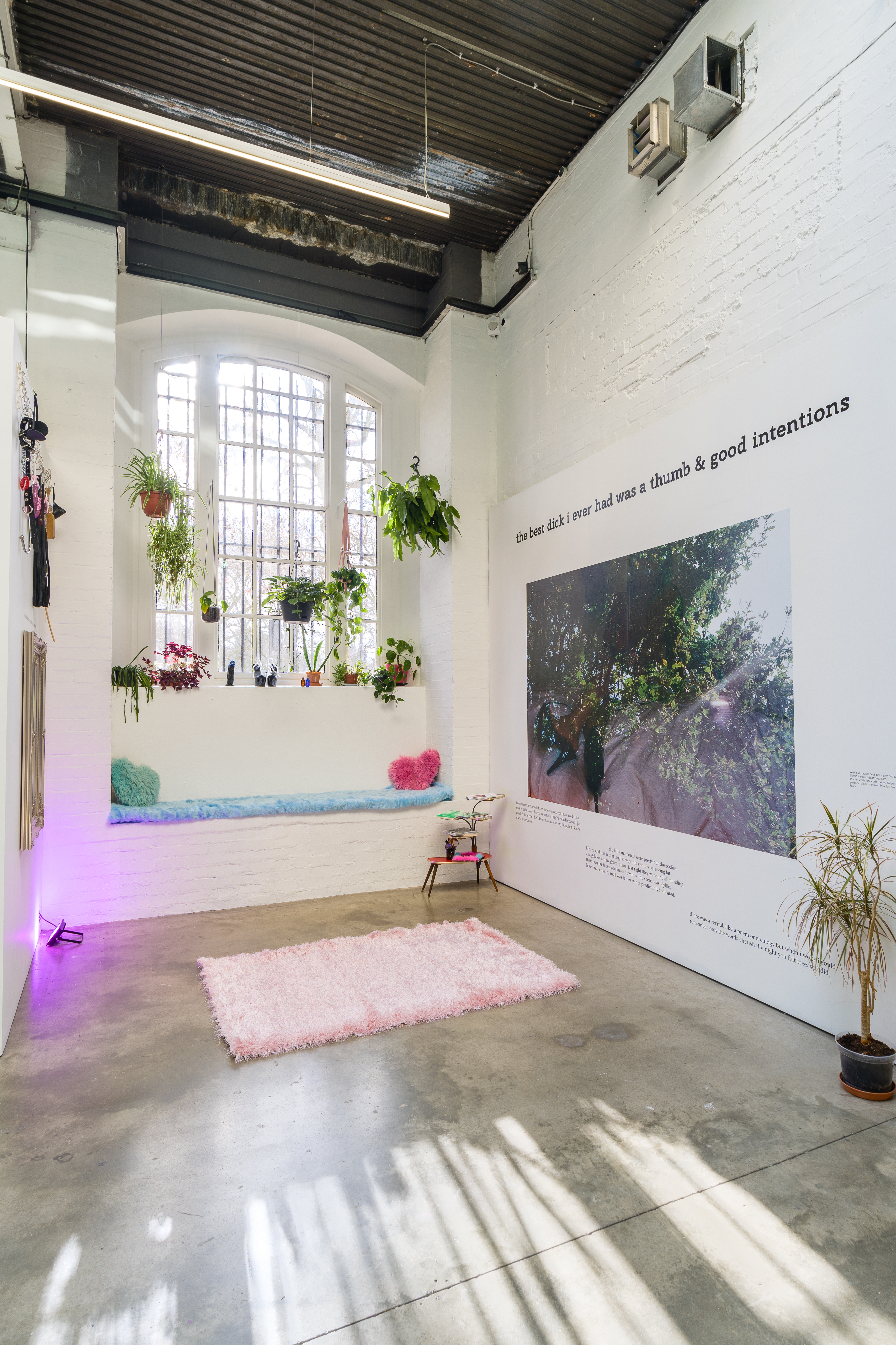 A gallery space with high ceilings and vaulted windows, surrounded with plants in hanging baskets. The wall on the right hand side features art work by Aisha Mirza, with text that reads: 'the best dick I ever had was a thumb and good intentions'.